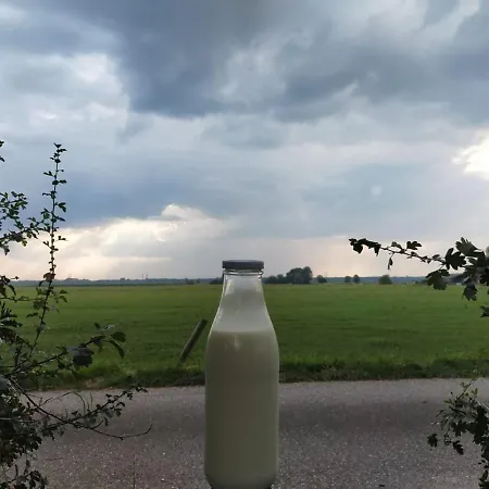 Dom wakacyjny Bissems Hofstede *