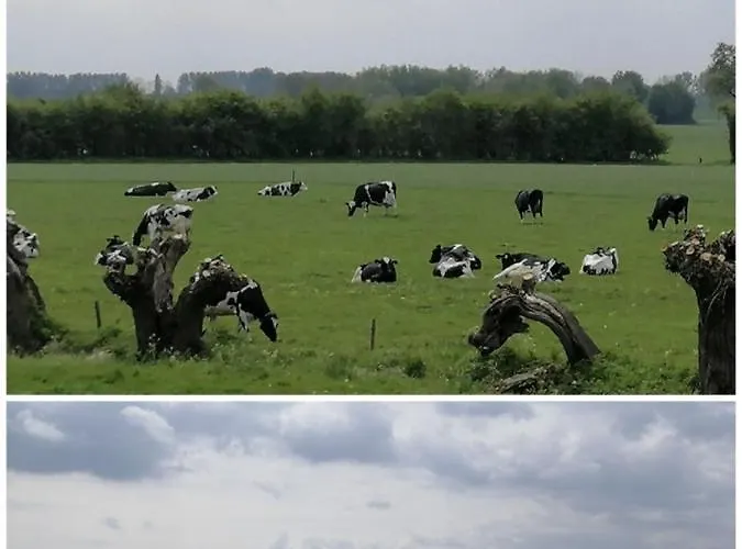 Bissems Hofstede * Marle (Zwolle)