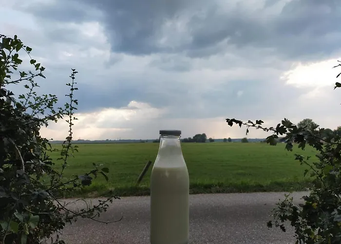 بيت للعطل Bissems Hofstede *