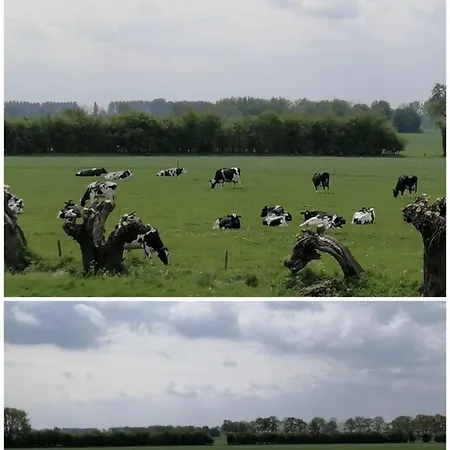 Bissems Hofstede * Marle (Zwolle)